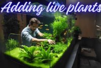 Adding live plants